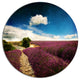Lavender Field With Dramatic Blue Sky, Landscape Round Wall Art, 36"