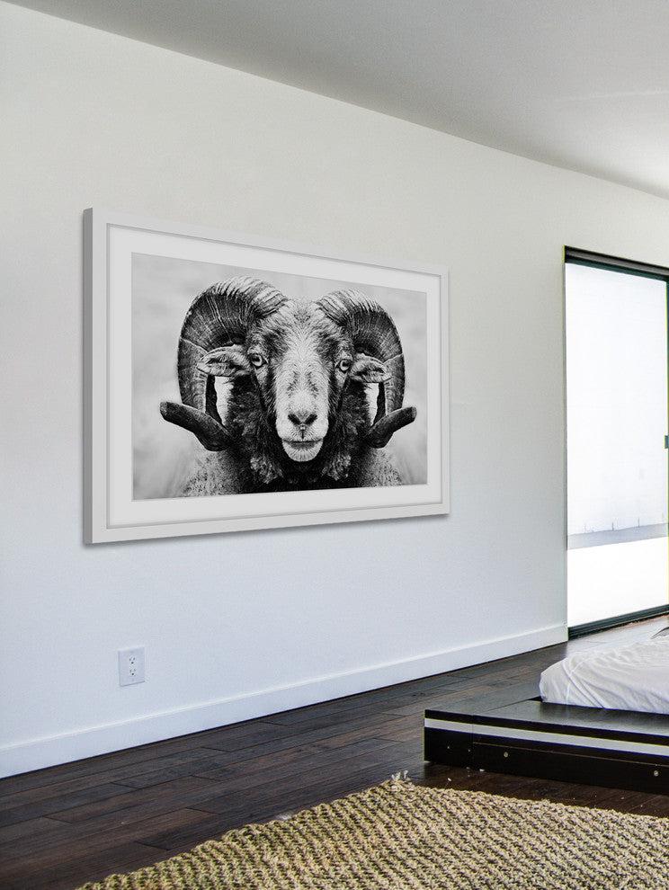 Marmont Hill, "I Dare You Ram" Framed Painting Print, 36x24