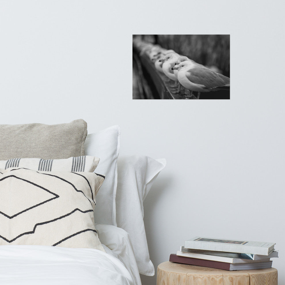 Gull King Black & White (Coastal Birds) Wildlife Photo Unframed Wall Art Print, 12" X 18"