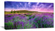 "Summer Lavender Field in Tihany" Modern Landscape Wall Art, 32"x16"