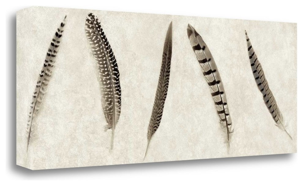 "Feathers Panel - 1" By Alan Blaustein, Giclee Print on Gallery Wrap Canvas