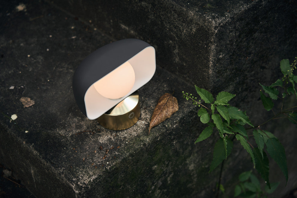 Hoodie Table / Wall Lamp, Matt Gray + Champagne Gold