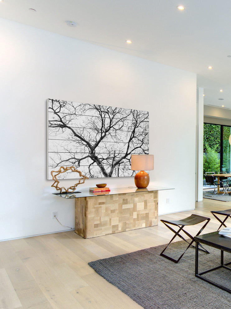 "Black Branches" Print on White Wood, 60"x40"