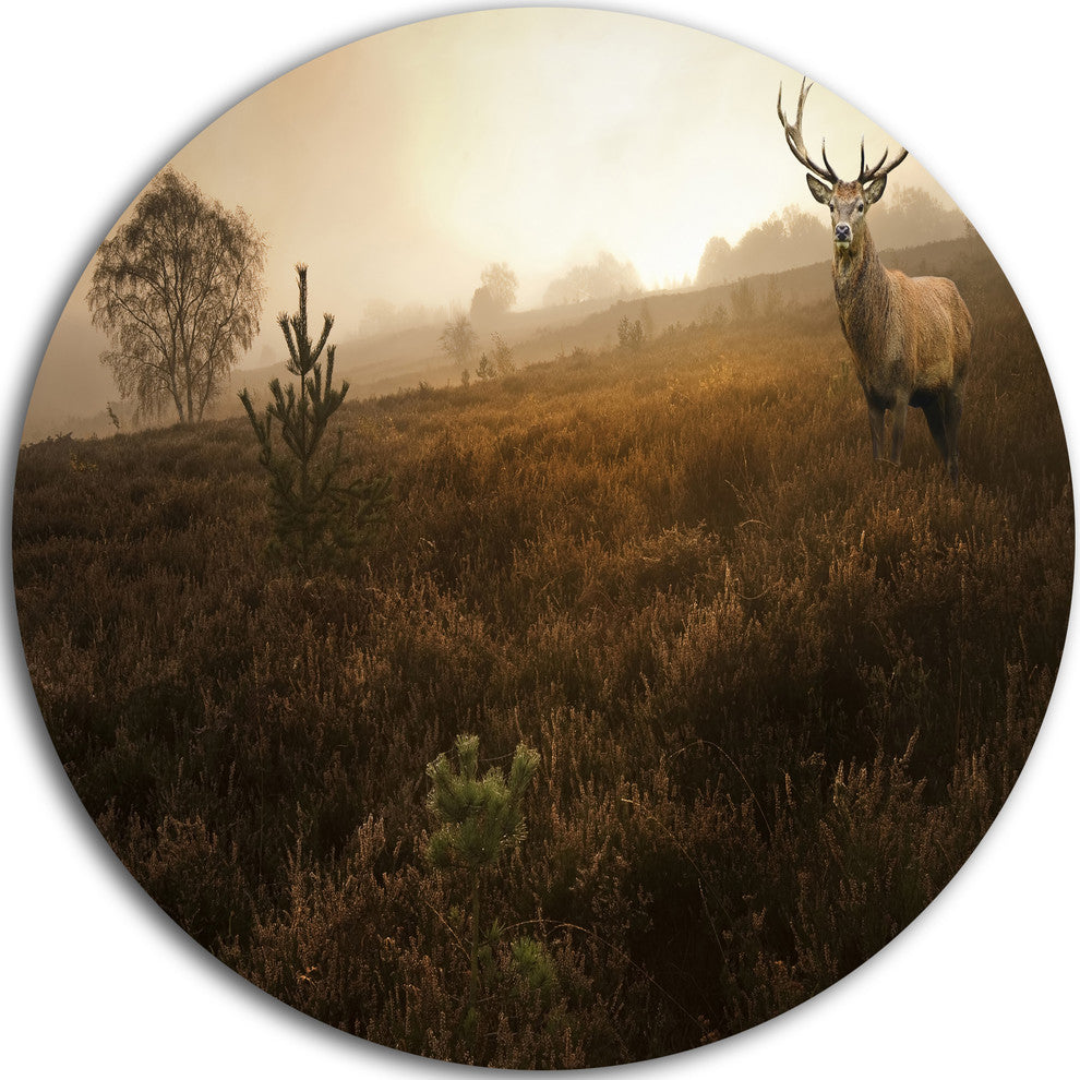 Mist Forest With Red Deer Stag, Landscape Photo Disc Metal Artwork, 36"