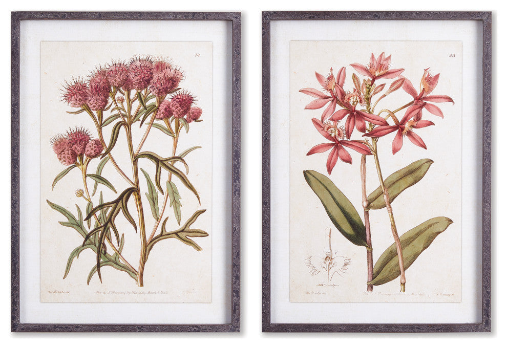 Pretty, Pink Vintage Prints, Set of 2