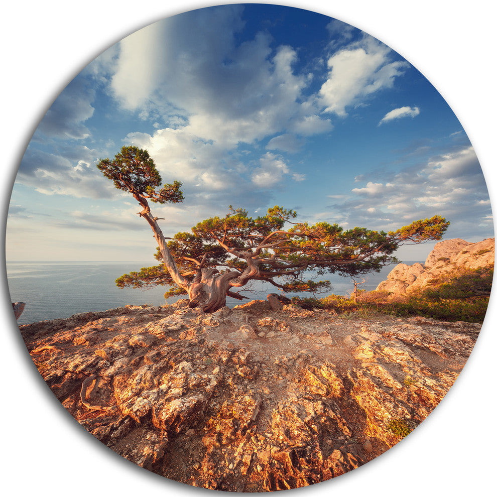 Sunrise With Old Tree At Peak, Landscape Photo Round Metal Artwork, 36"