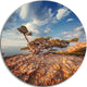 Sunrise With Old Tree At Peak, Landscape Photo Round Metal Artwork, 36"