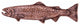 New Long Trout Left Face Cabinet Pull, Antique Copper