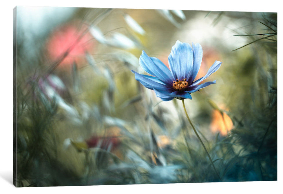 "L'unification Des Interactions" by Fabien Bravin, 18x12x1.5