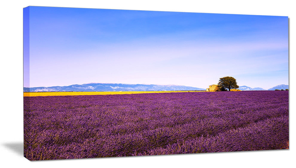"Lavender Flowers With Old House" Landscape Wall Art Print, 1 Panel, 60"x28"