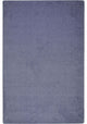 Endurance 12' X 6' Area Rug, Color Glacier Blue