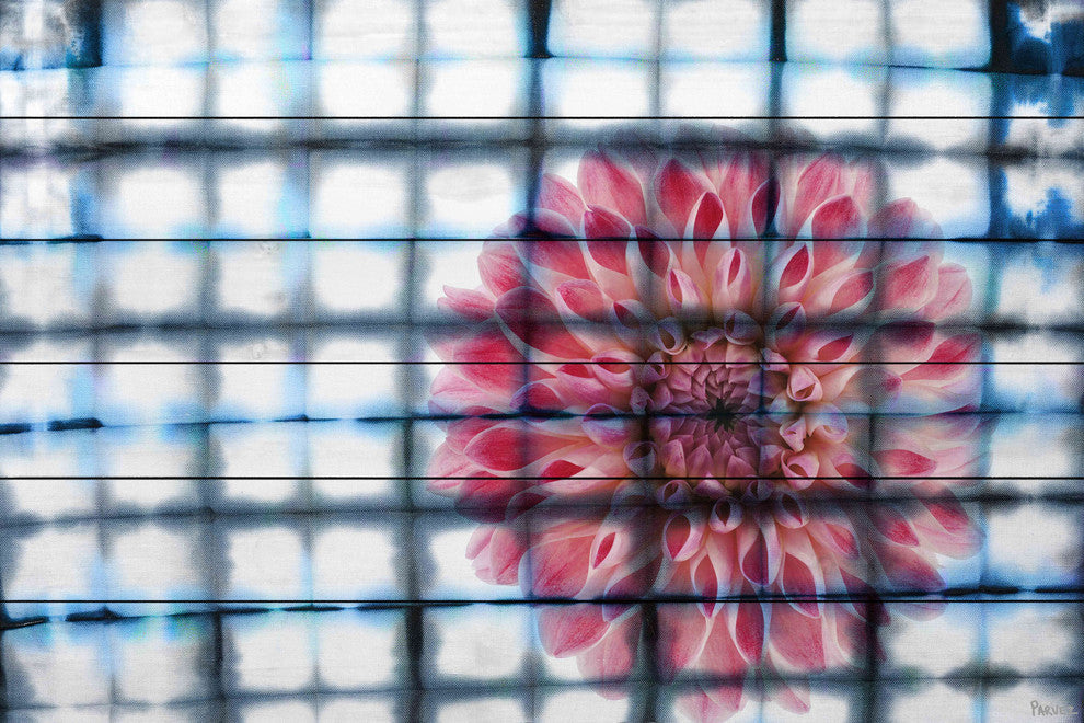"Caged Peony" Print on White Wood, 45"x30"