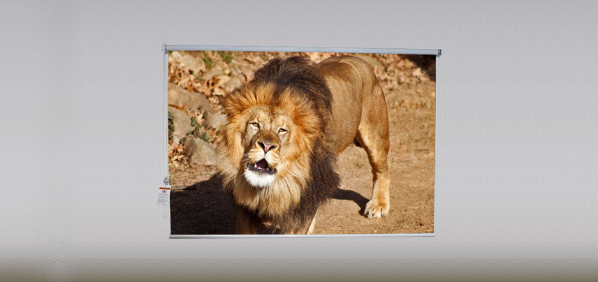 "Lion" Artwork, 3' Shade, Fabric