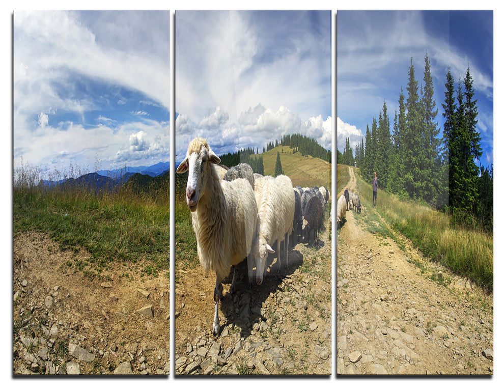 "Shepherd and Sheep of Carpathian" Photo Metal Wall Art, 3 Panels, 36"x28"