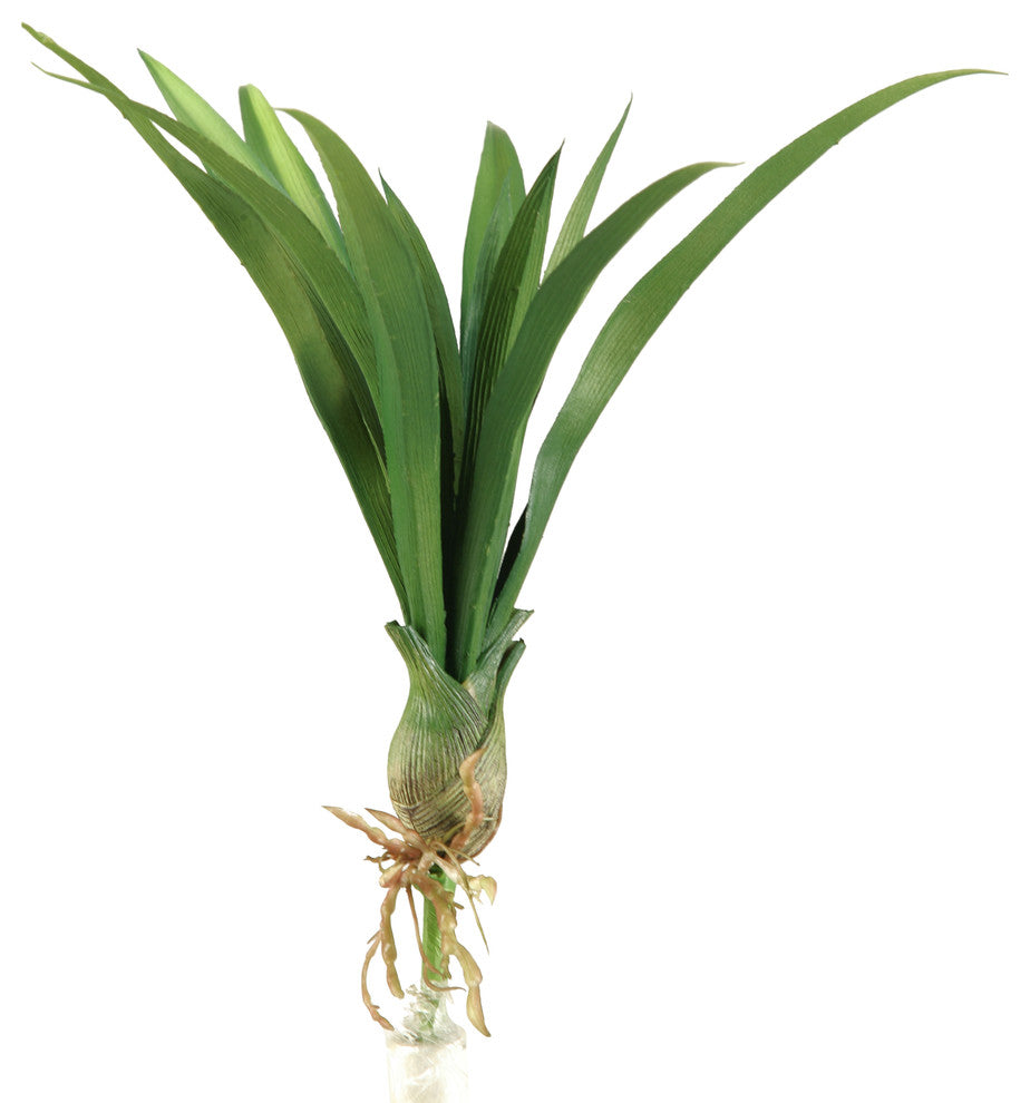 15" Green Lily Grass With Bulb, Set of 3
