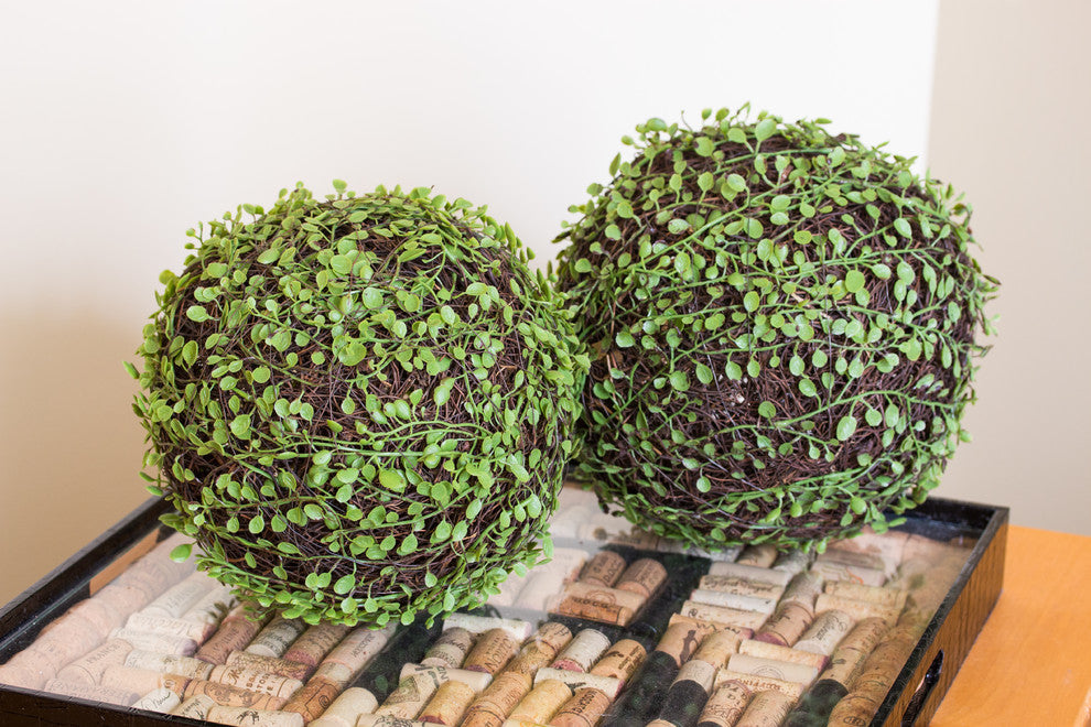 9" Mohlenbechia Ball, Set of 2