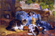 Julius Adam The Kittens' Supper - 18" x 27" Premium Canvas Print