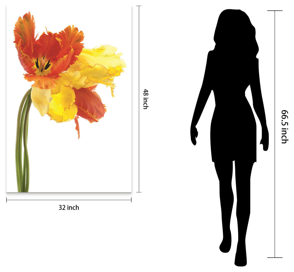 Orange Yellow Parrot Tulip Frameless Free Floating Tempered Art Glass Wall Art