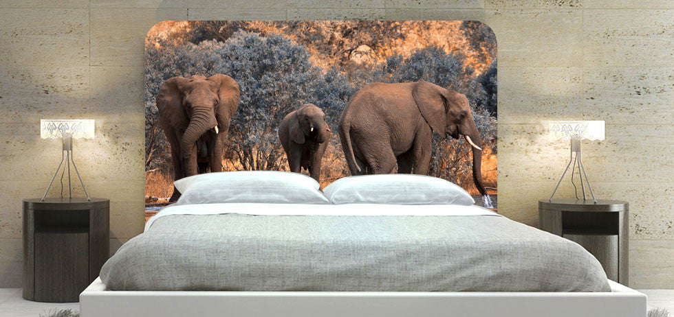 "Elephant At Watering Hole" Headboard