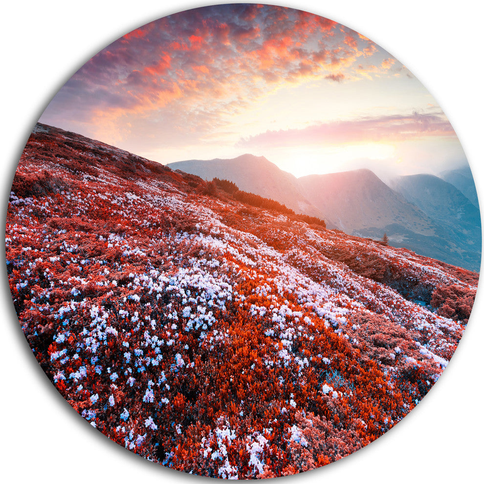 Blooming Fields In Carpathian, Landscape Photo Round Wall Art, 23"