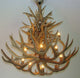 Whitetail, Mule Deer Antler Chandelier Light, Xxl, No Shades