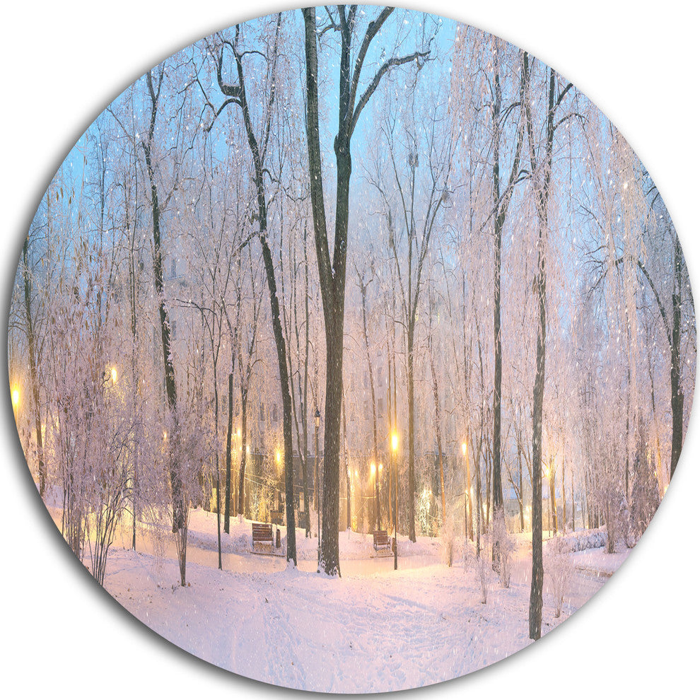 Dark Foggy Mariinsky Garden, Landscape Photo Disc Metal Artwork, 38"