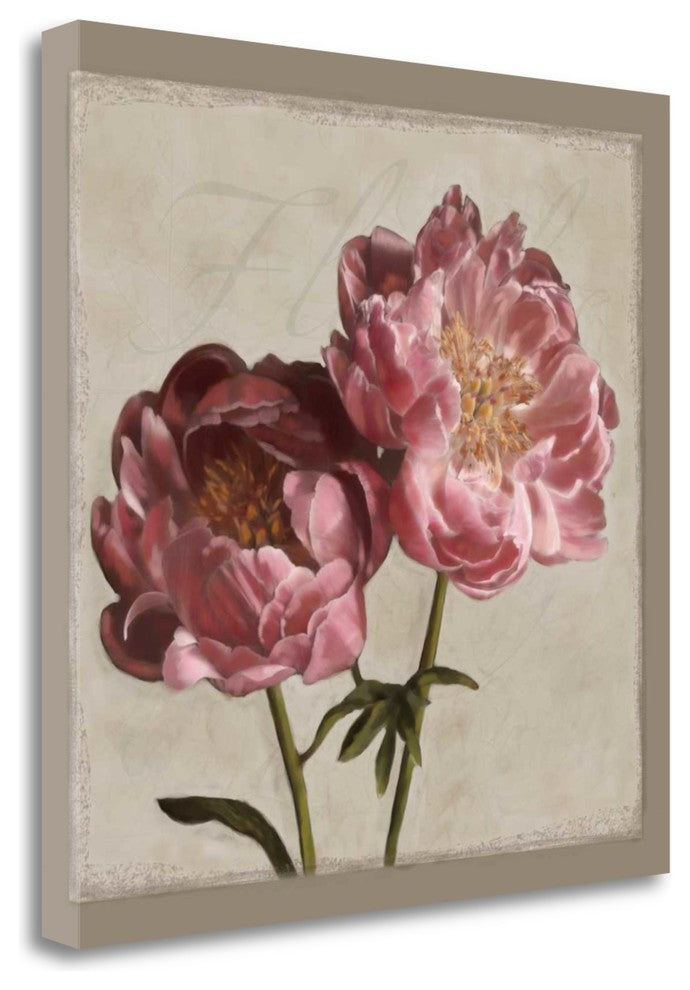 "Botanical Peony" By Janel Pahl, Giclee Print on Gallery Wrap Canvas