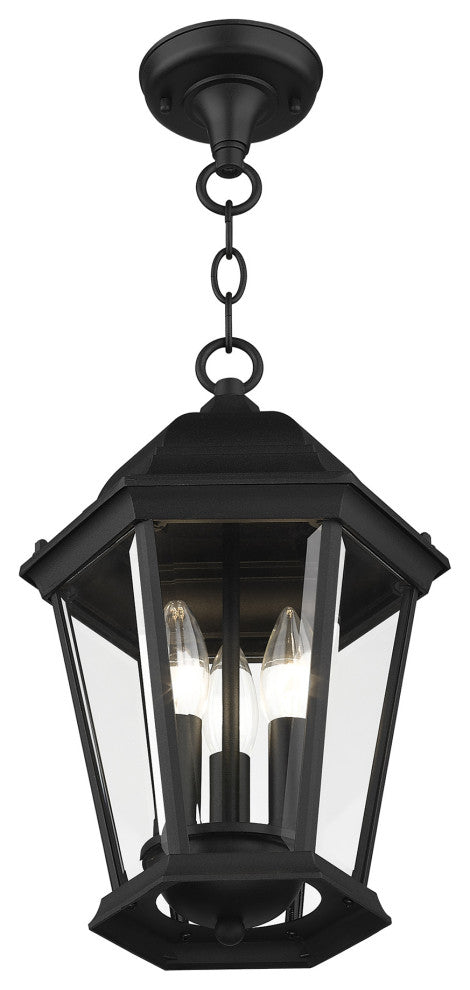 Textured Black Traditional, Historical, Outdoor Pendant Lantern
