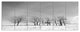 Black and White Trees in Winter, Landscape Canvas Art Print, 70"x28", 6 Panels