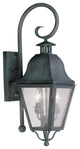 Livex Lighting 2 Light Charcoal Outdoor Wall Lantern - 2551-61