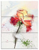 Beautiful Rose Illustration Drawing, Floral Triptych Canvas Art, 28x36, 3 Panels