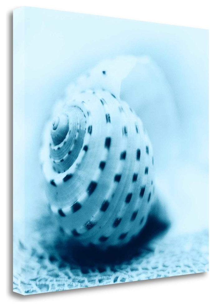 "Nautica No3" By Alan Blaustein, Giclee Print on Gallery Wrap Canvas
