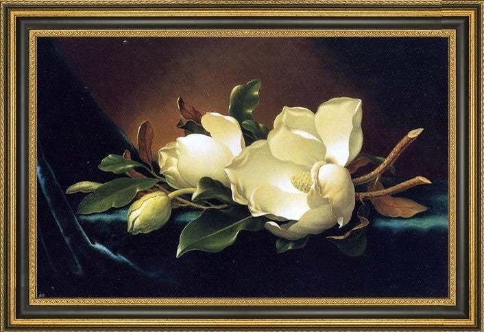 Martin Johnson Heade Two Magnolias and a Bud on Teal VelvetCanvas Print, 18"x27"