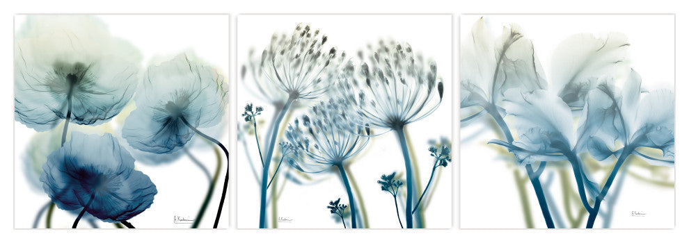 "Unfocused Beauty" Frameless Free Floating Panel Graphic Wall Art, 24"x24"