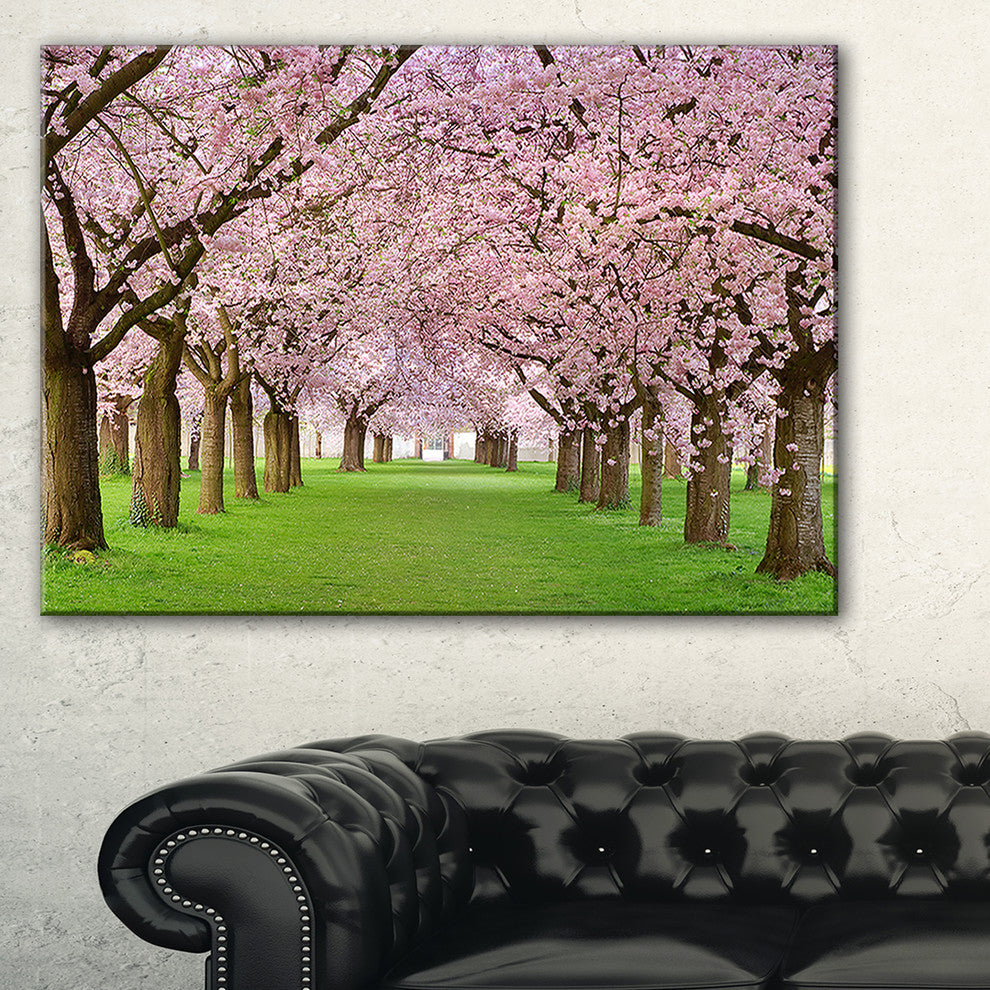 "Stunning Cherry Blossoms Plenitude" Landscape Art Print Canvas, 32"x16"