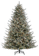 Lightly Flocked Natural Cut Olympia Fir With 800 Clear Lights, 7.5 Foot