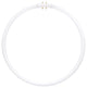 Sunlite 40 Watt T5 Circline, 2Gx13 Base, Neutral White