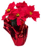 Wl-Ps-Pot - 5 Poinsettia Flowers In Gold Pot