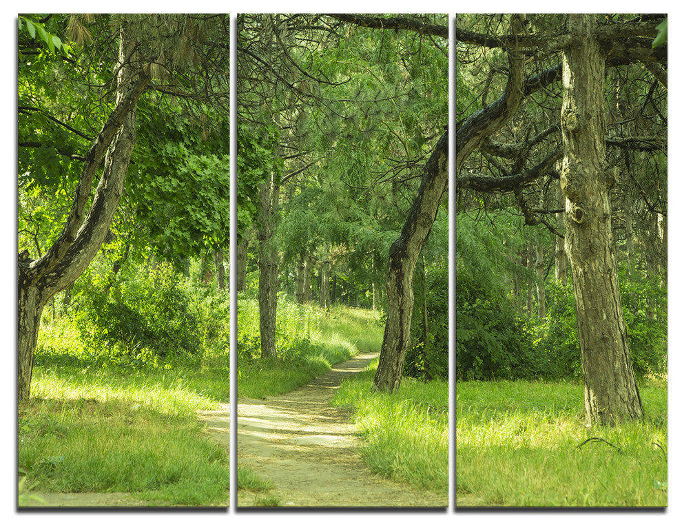 "Green Forest Path in Early Summer" Photo Wall Art, 3 Panels, 36"x28"