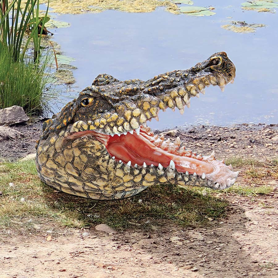 Chomper Crocodile Head Statue