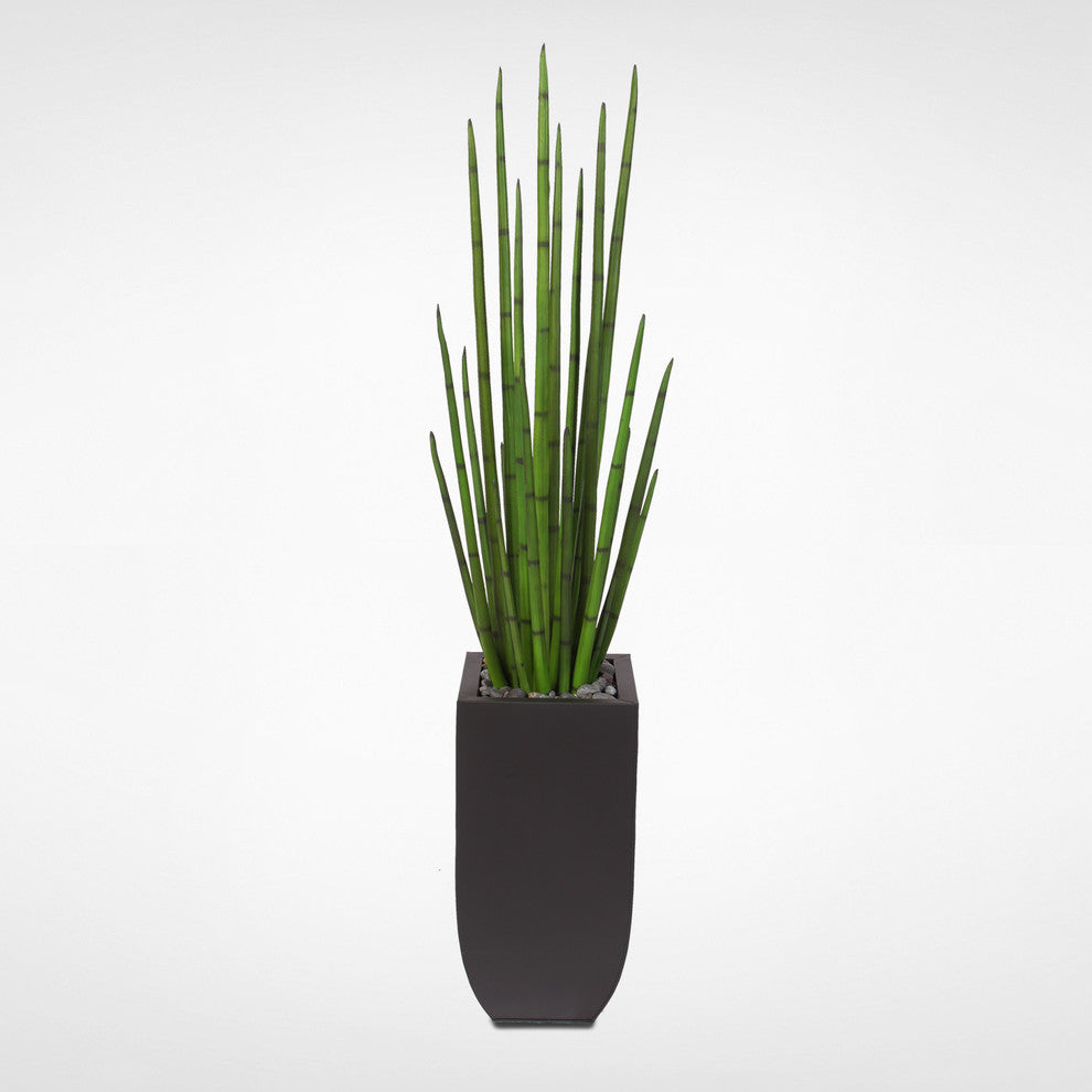 63" Tall Snake Grass Display With Pebbles in Metal Planter