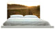 "Sunset Over Stump" Headboard