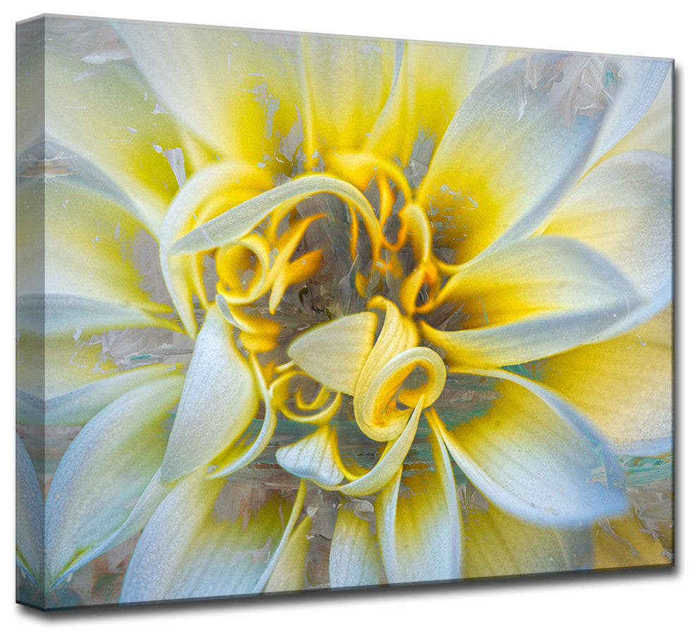 Ready2Hangart 'Painted Petals Xxxvii' Canvas Wall Art, 20" Hx30" W