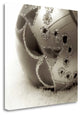 "Holiday - 1" By Alan Blaustein, Giclee Print on Gallery Wrap Canvas