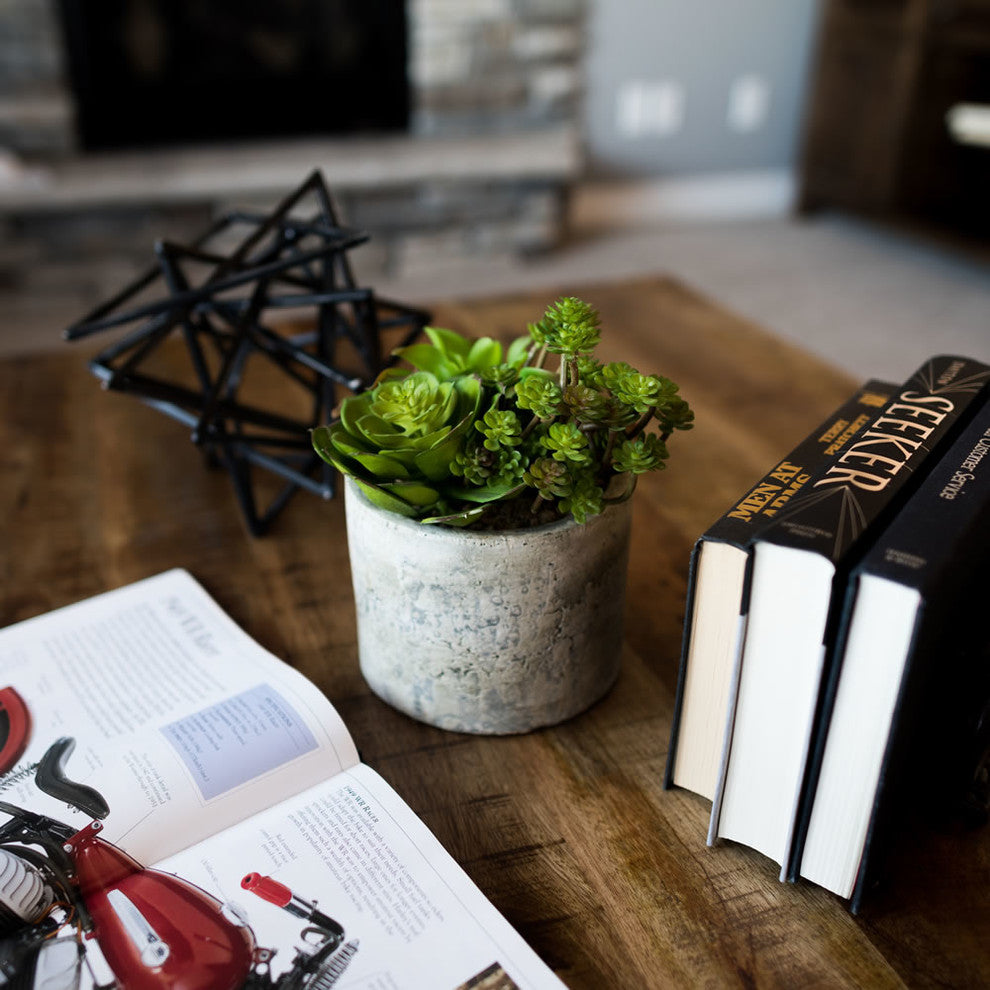 8" Succulent Arrangement