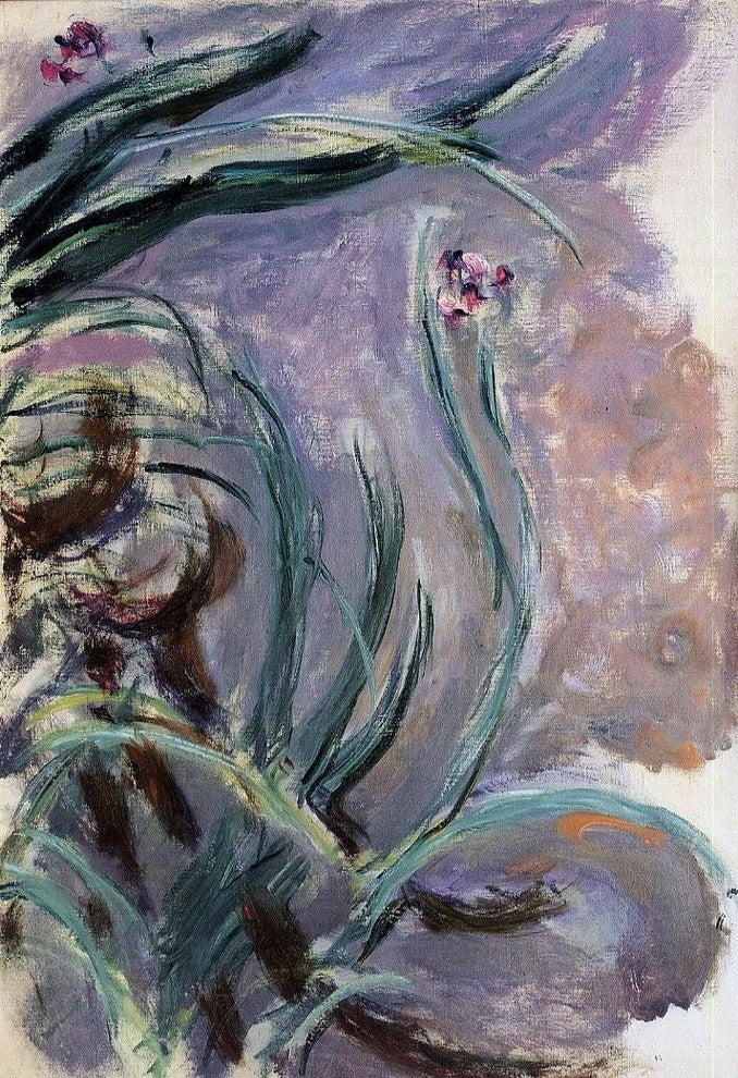 Claude Oscar Monet Irises - 18" x 27" Premium Canvas Print