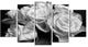 "Bunch of Roses Black and White" Canvas Print, 5 Panels