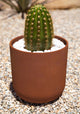 Veradek Patina Series Kona Planter Rust, Rust, 10", 2 Pack