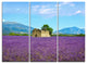 "Old House and Tree in Lavender Field" Metal Wall Art, 3 Panels, 36"x28"
