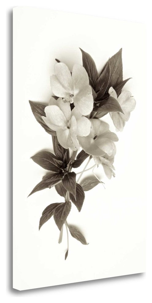 "Garden Bloom - 4" By Alan Blaustein, Giclee Print on Gallery Wrap Canvas